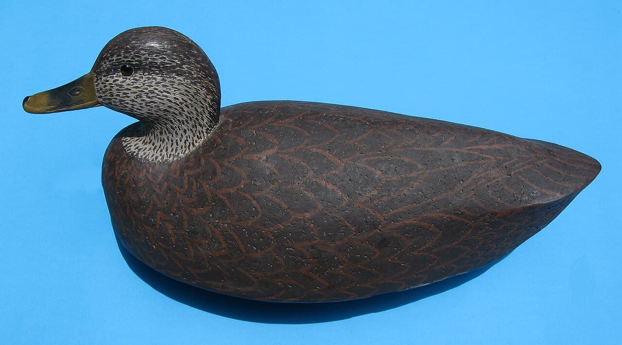Cameron Art Museum Puts Southern Duck Decoys Center Stage